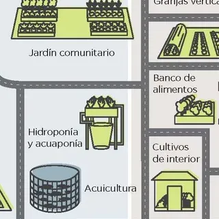 thumbnail for publication: ¿Qué es la agricultura urbana?